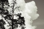 用 SaaS 和排名优化为萧山网站建设加速