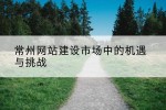 常州网站建设市场中的机遇与挑战