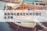 湖南网站建设在杭州引领行业发展
