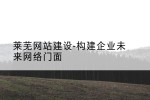 莱芜网站建设-构建企业未来网络门面
