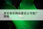 西安南京网站建设公司推广策略