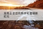 龙岗企业迈向数字化营销新纪元