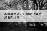 高端网站建设引领武汉网站建设新风潮