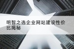 明智之选企业网站建设性价比揭秘