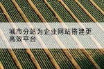 城市分站为企业网站搭建更高效平台