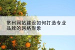 常州网站建设如何打造专业品牌的网络形象
