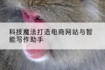 科技魔法打造电商网站与智能写作助手