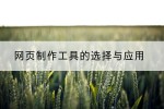 网页制作工具的选择与应用