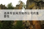 选择专业网页制作公司的重要性