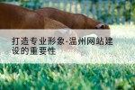 打造专业形象-温州网站建设的重要性