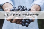 山东三地网站建设发展分析
