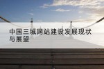 中国三城网站建设发展现状与展望
