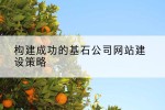 构建成功的基石公司网站建设策略