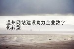 温州网站建设助力企业数字化转型