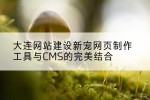 大连网站建设新宠网页制作工具与CMS的完美结合