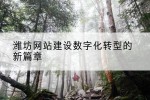 潍坊网站建设数字化转型的新篇章