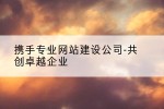 携手专业网站建设公司-共创卓越企业