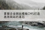 掌握企业网站模板CMS打造高效网站的基石