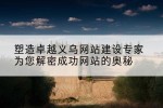 塑造卓越义乌网站建设专家为您解密成功网站的奥秘