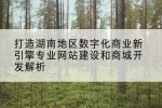 打造湖南地区数字化商业新引擎专业网站建设和商城开发解析