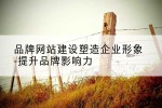 品牌网站建设塑造企业形象-提升品牌影响力