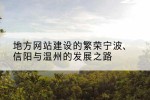 地方网站建设的繁荣宁波、信阳与温州的发展之路