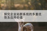 探究企业站群系统的多重优势及应用价值