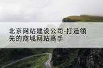 北京网站建设公司-打造领先的商城网站高手