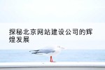 探秘北京网站建设公司的辉煌发展