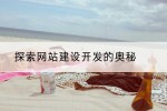 探索网站建设开发的奥秘