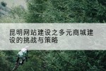 昆明网站建设之多元商城建设的挑战与策略