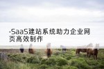 SaaS建站系统助力企业网页高效制作