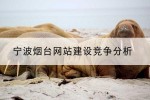 宁波烟台网站建设竞争分析