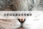 合肥网站建设优势解析