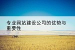 专业网站建设公司的优势与重要性