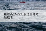 精准高效-西安多语言建站领航者