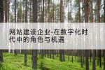 网站建设企业-在数字化时代中的角色与机遇