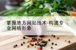 掌握地方网站技术-构建专业网络形象