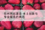 郑州网站建设-本土创新与专业服务的典范