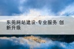 东莞网站建设-专业服务 创新升级