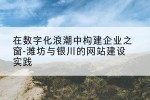 在数字化浪潮中构建企业之窗-潍坊与银川的网站建设实践