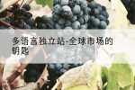 多语言独立站-全球市场的钥匙