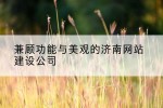 兼顾功能与美观的济南网站建设公司