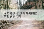 网站建设-长沙与青岛的数字化发展之路