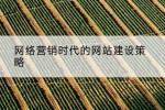 网络营销时代的网站建设策略