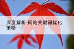 深度解析-网站关键词优化策略