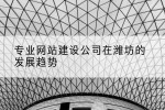专业网站建设公司在潍坊的发展趋势
