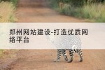 郑州网站建设-打造优质网络平台