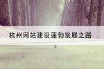 杭州网站建设蓬勃发展之路
