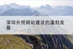深圳外贸网站建设的蓬勃发展